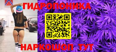 spice Рыбинск