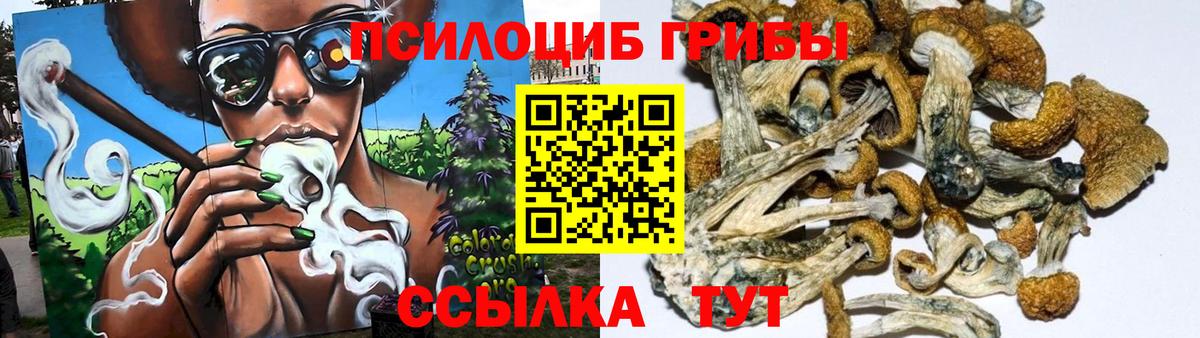 Псилоцибиновые грибы мицелий  Вход с VPN  Галлюциногенные грибы мицелий  Приморско-Ахтарск 